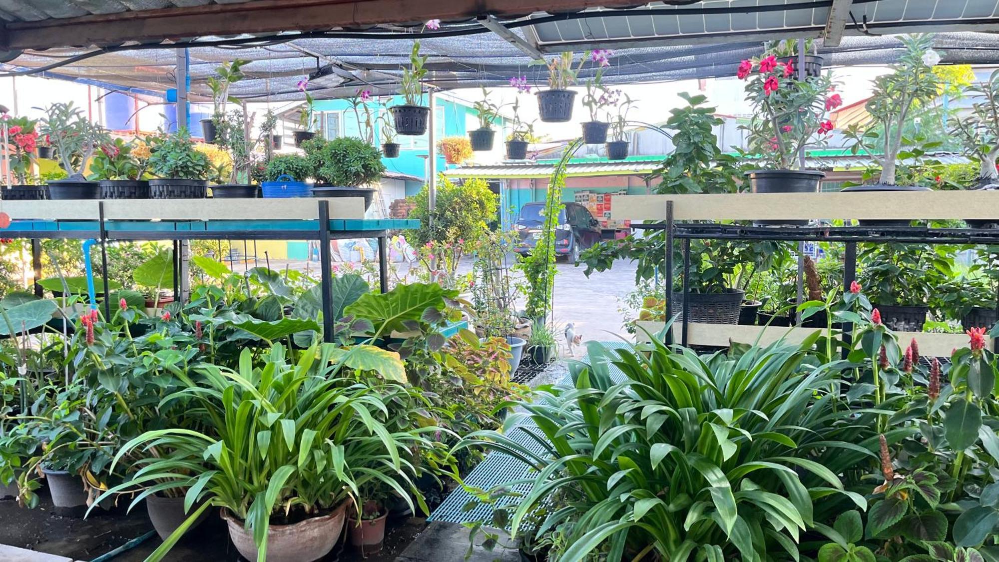 Pa Chalermchai Guesthouse Bangkok Exteriör bild